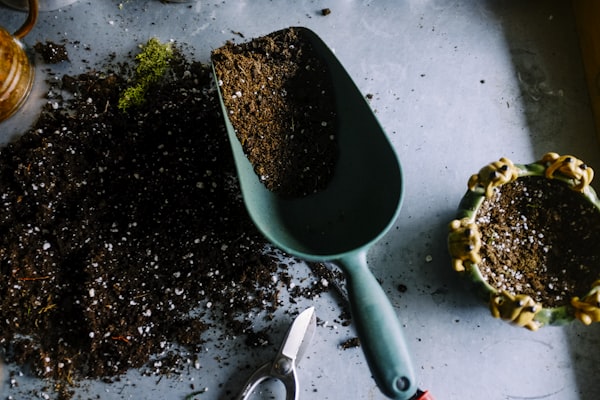 Fresh soil in a scoop, ready for planting